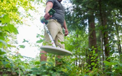 The Ultimate Guide to Outdoor Recreation in 2026: Trends, Benefits, and Metal Detecting Adventures