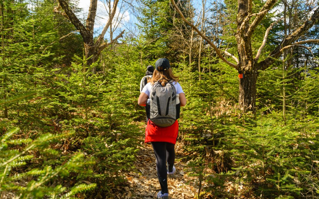 Solo Hiking Tips: Stay Safe and Prepared on Every Trail