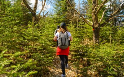Solo Hiking Tips: Stay Safe and Prepared on Every Trail