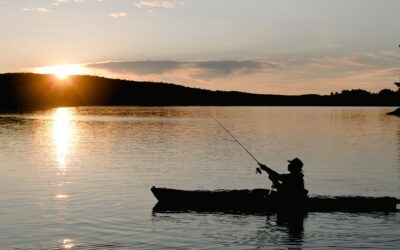 Lake Fishing: Tips, Techniques, and Gear for a Successful Day on the Water